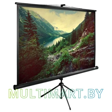 Проекционный экран CACTUS TriExpert 220x220 (CS-PSTE-220х220-BK)